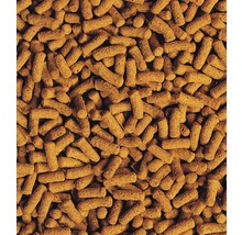 Gros plan de granulés pour poissons