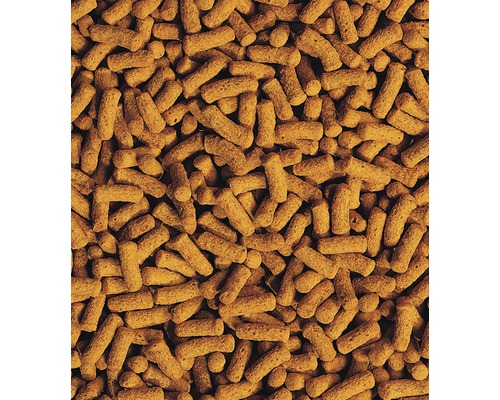 Gros plan de granulés pour poissons