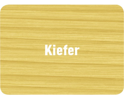 Texture de bois de pin