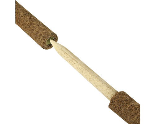 Support de plante en fibre de coco avec bâton en bois pour rallonger