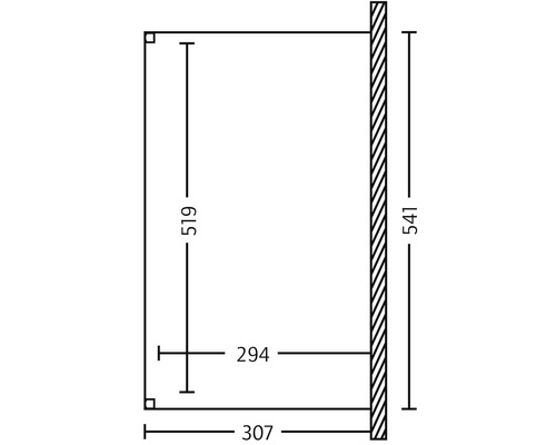 Schéma technique avec dimensions d''un produit, hauteur 541, largeur 307, profondeur 294 et distance 519.