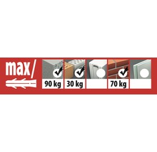 Cheville longue multiusages Tox Constructor Ø 10/135 mm et vis, 25 pièces