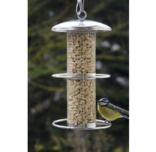 Vogelhaus mit Erdnüssen und Blaumeise