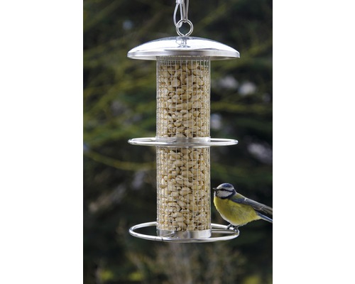 Vogelhaus mit Erdnüssen und Blaumeise