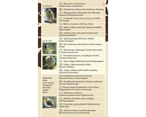 Abbildung verschiedener Vogelarten: Blaumeise, Spatz, Rotkehlchen