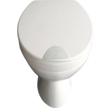 WC sur pied blanc avec couvercle fermé