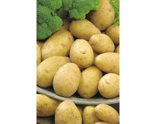 Kartoffeln und Brokkoli in einer Schale