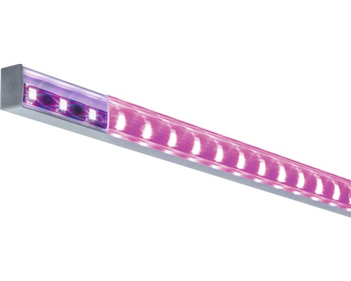 Lampe LED pour plantes