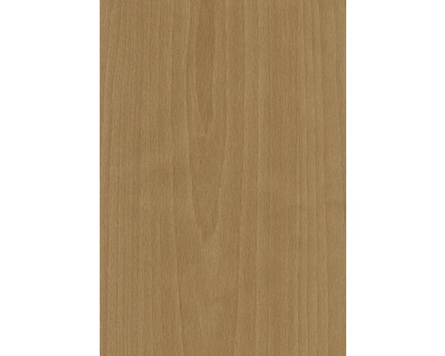Texture bois hêtre