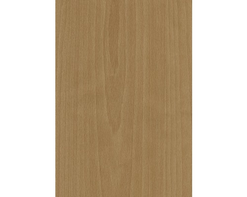 Texture de bois pour l''aménagement intérieur