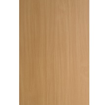 Chant ABS hêtre 2x22 mm (au mètre)-thumb-2