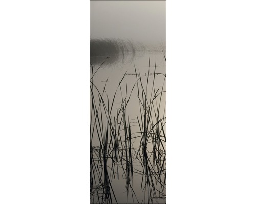 Schilfgras im Wasser unter nebligem Himmel