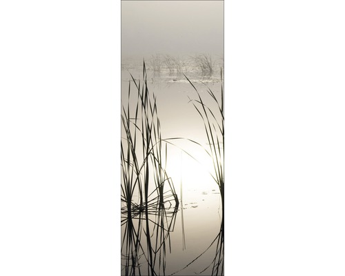Schilfgras im Wasser