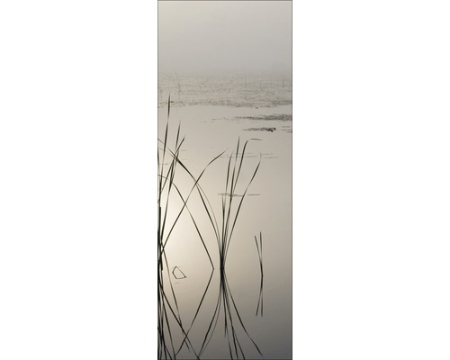 Schilfgras im Wasser mit nebligem Hintergrund