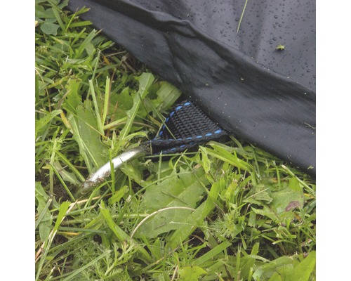 Vue détaillée d''une tente ancrée au sol avec un piquet.