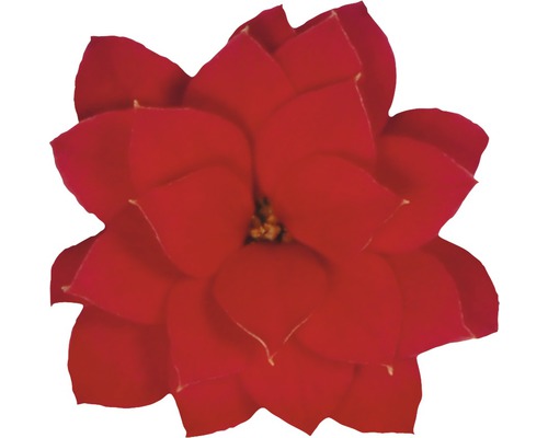 Roter Weihnachtsstern aus Kunststoff