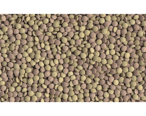 Comprimés de nourriture pour poissons d''aquarium