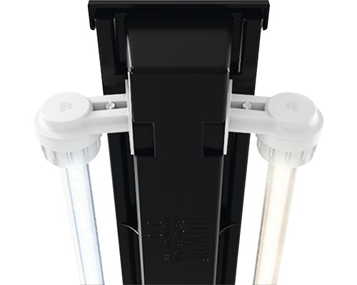 Éclairage d''aquarium avec deux lampes LED
