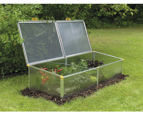 Frühbeet mit Pflanzen im Garten.