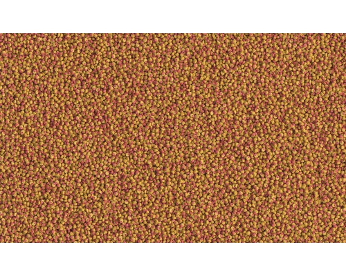 Gros plan sur des aliments secs pour animaux