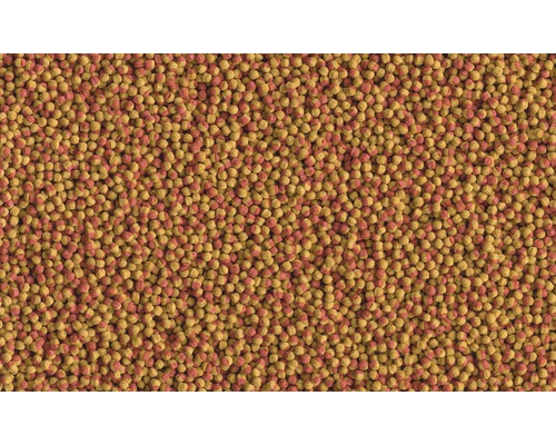 Granulés nourriture pour poissons