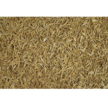 Gros plan de poissons séchés