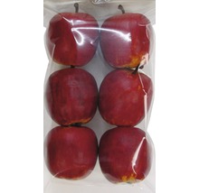 Six pommes artificielles rouges dans un emballage