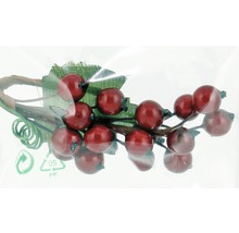 Branche décorative avec baies rouges et feuilles vertes