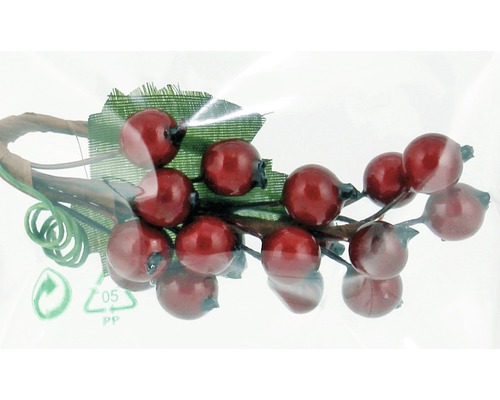 Branche décorative avec baies rouges et feuilles vertes