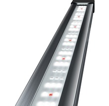 Lampe LED pour aquarium