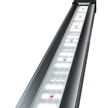 Lampe LED pour aquarium