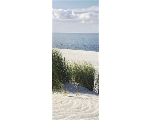 Dünengras am Strand mit Blick aufs Meer