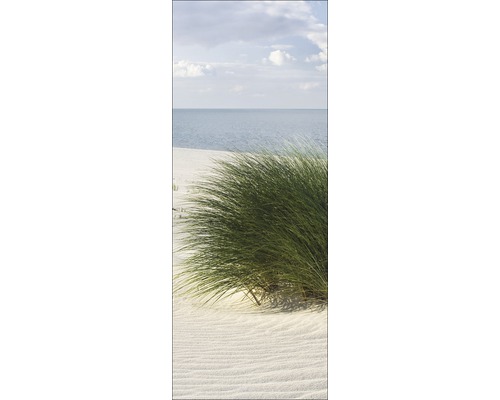 Dünengras am Strand mit Meerblick