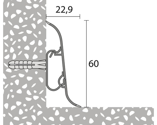 Technische Zeichnung eines Profils mit den Maßen 22,9 und 60