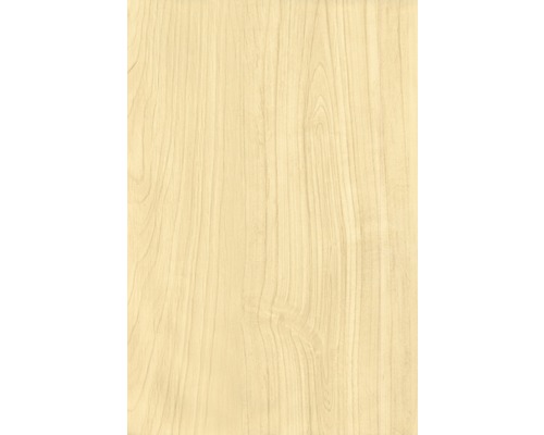 Texture du bois