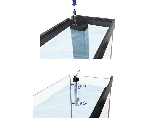 Aquarium mit Heizelement zur Temperaturregelung