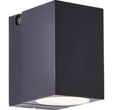 Applique extérieure LED pivotante IP44 8W 600 lm 3000 K blanc chaud hxpxl 100x95x65 mm Burk noir