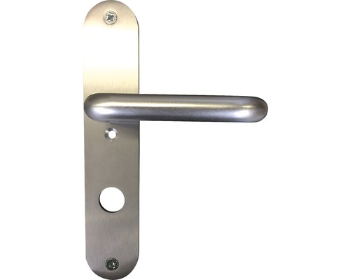 Türbeschlag aus Metall mit Griff und Rosette