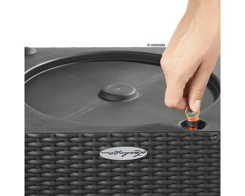 Une personne insère une pièce dans un pot de fleurs Lechuza.