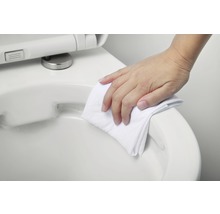 Reinigung einer Toilette mit einem Tuch