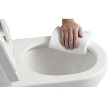Reinigung einer Toilette mit einem Tuch
