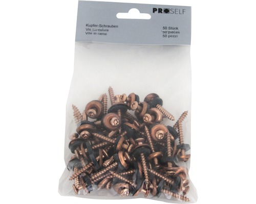Paquet de 50 vis en cuivre avec rondelle d''étanchéité