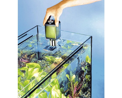 Aquarium avec filtre interne et plantation