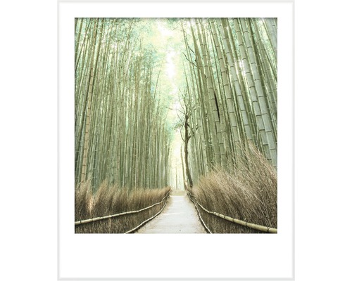 Image encadrée d''un chemin à travers une forêt de bambous