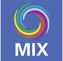MIX Logo
