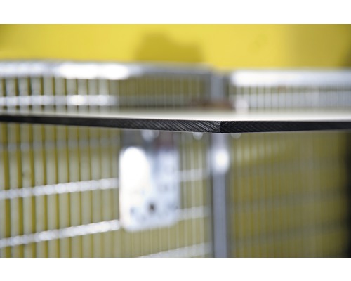 Vue détaillée d''un bord de rayon