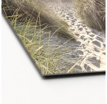 Acrylglasbild mit Strandmotiv, Dünenlandschaft