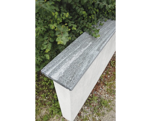 Dessus de muret Flairstone Gneis gris arctique 115x27x3cm