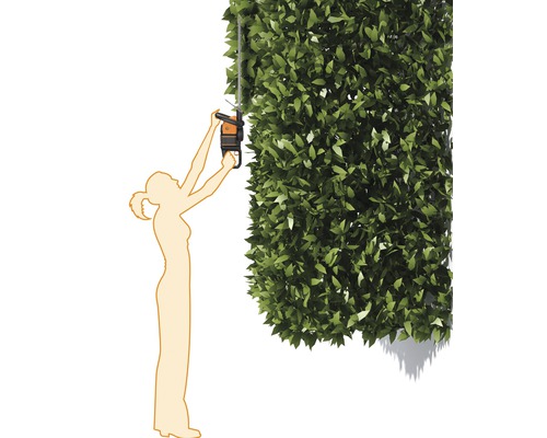 Illustration d''une femme coupant une haute haie avec un taille-haie