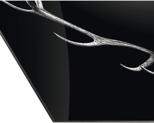 Vue détaillée d''une plaque en verre acrylique avec motif de bois de cerf